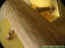 arbre01.jpg (14042 octets)
