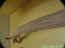 arbre04.jpg (11177 octets)
