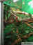 deco-00.jpg (93553 octets)