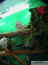 deco-04.jpg (65097 octets)