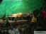 deco-06.jpg (59840 octets)