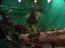 iguarium-012.jpg (43061 octets)