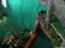 iguarium-014.jpg (45101 octets)