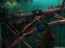 iguarium-017.jpg (49284 octets)