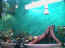 iguarium-027.jpg (58545 octets)