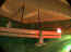 iguarium2-024.jpg (42347 octets)